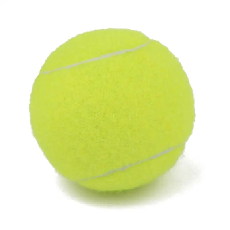 

2pcs Professional Reinforced Rubber Tennis Ball Shock Absorber High Elasticity Durable Training Ball for Club School Training