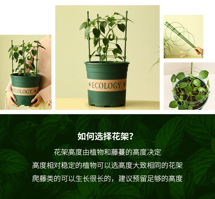 Водонепроницаемый антикоррозийный китайский цветок розы стойки Botany бассейна комнатных цветов и растений ветка распорка Садоводство подъем рамки