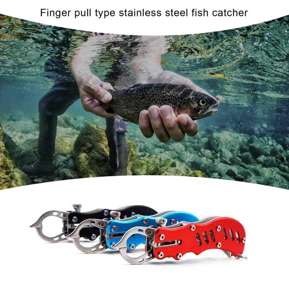 WJ495701-C-20102909-1