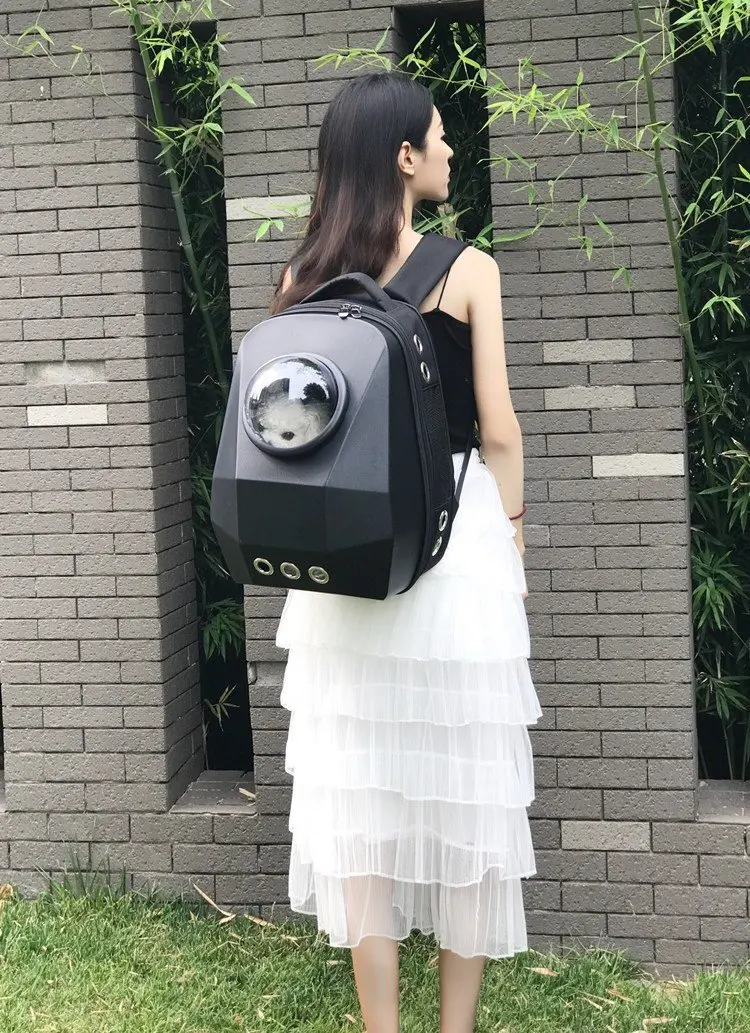 10723470976_345777210