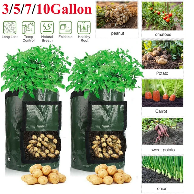 7 UK Gallon