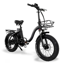 Leistungsstarke 800W 48V 12,8 ah Elektrische Fahrrad Erwachsene Fahrrad Schnee Berg 20 Zoll Klapp Fett Reifen Ebike Für mann Frauen
