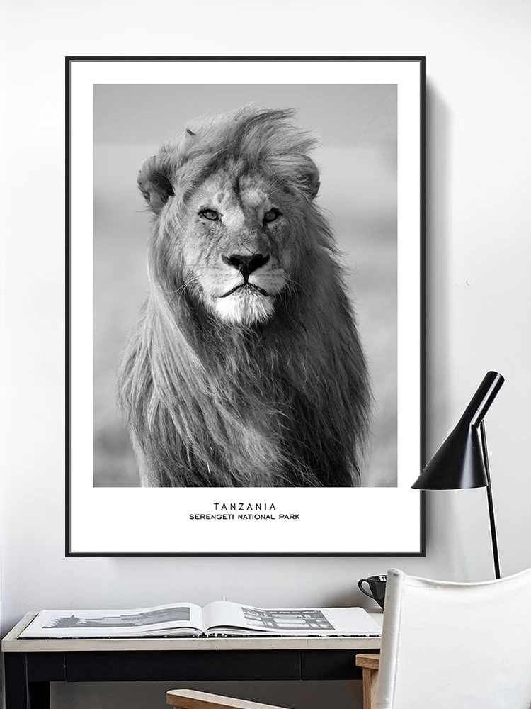 Постер в скандинавском стиле с изображением Льва слона зебры лошади черного и