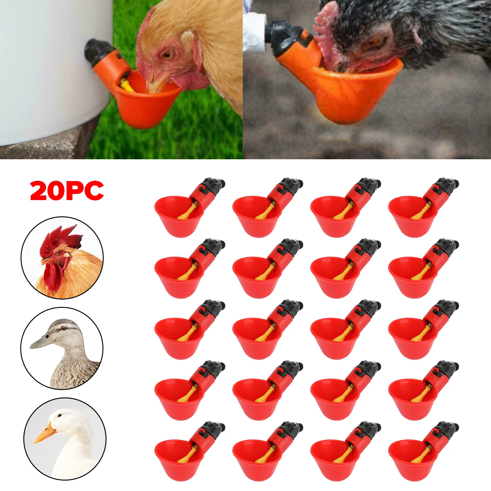 20Pcs Poultry Water Drinking Cups Chicken Hen Plastic Automatic Drinker Quail