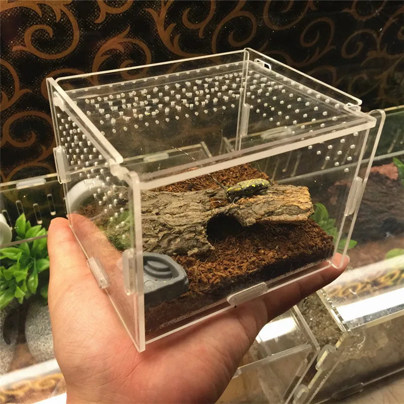 Reptile breeding box (9)