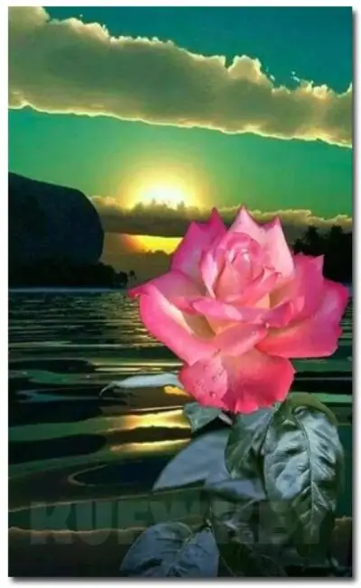 QQ截图20191020120240