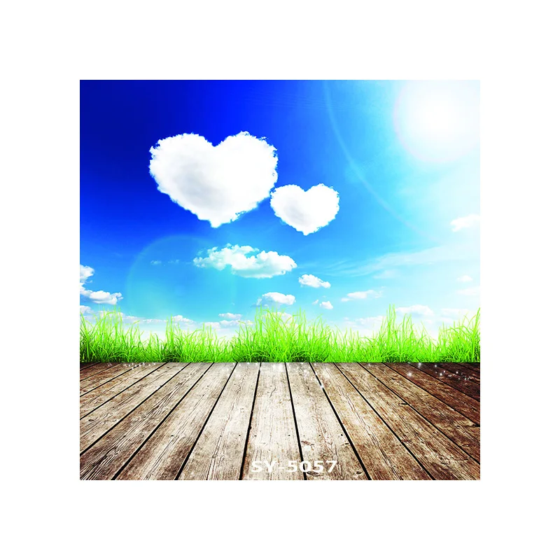 

Vinyl Custom Photography Backdrops Props Colorful Wood Planks Theme Photo Studio Background #20319-08