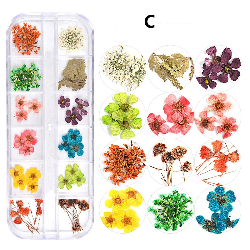 9072657744_1039904121