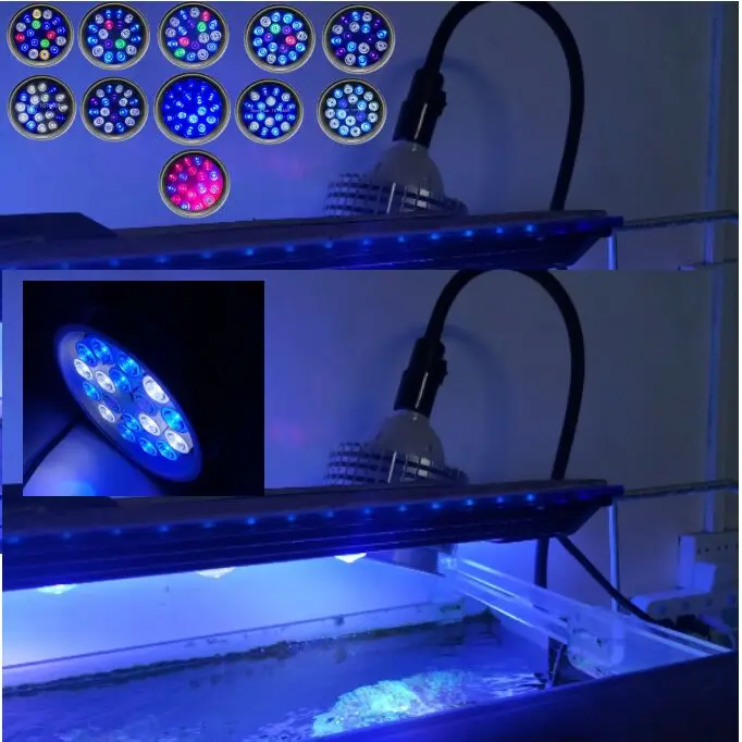 QQ图片20191009215826