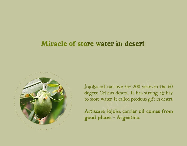 jojoba_09