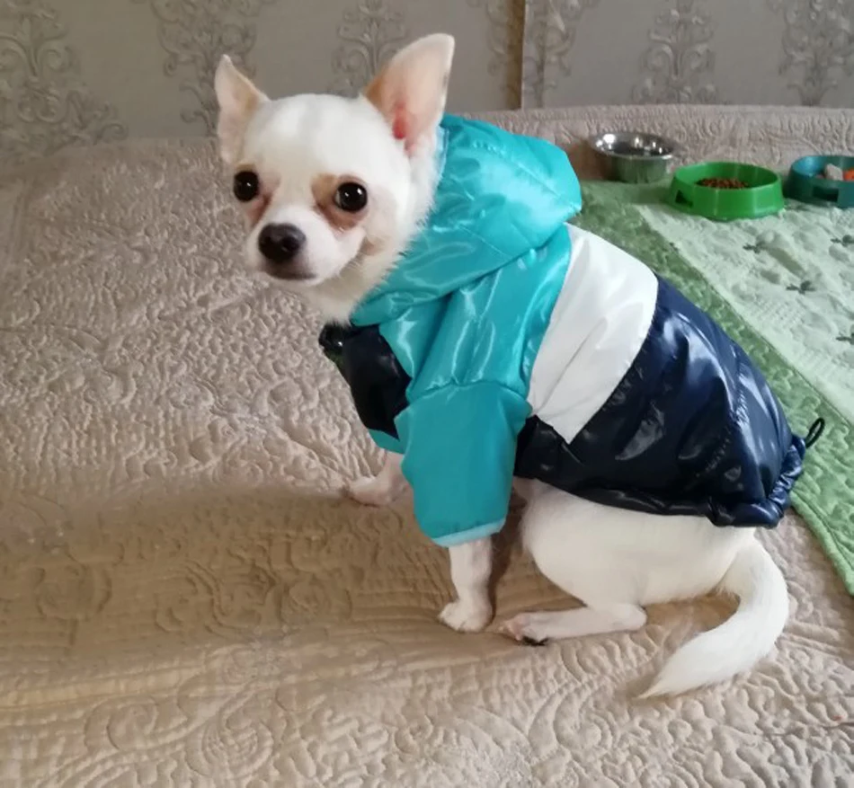 UTB8cIysvyaMiuJk43PTq6ySmXXaL