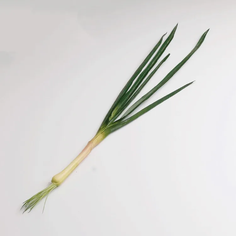 PU Simulation Onion Fake Green Onion Model Vegetable Plant Prop Early Education Garlic Sprouts 3 - Color: garlic
