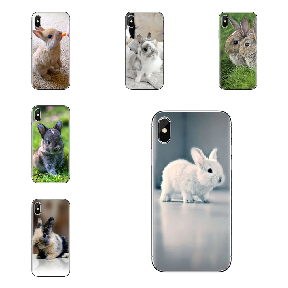 Phone Cover Housing White Gray Baby Rabbits Poster For Huawei Nova 2 3 2i 3i Y6 Y7 Y9 Prime Pro GR3 GR5 2017 2018 2019 Y5II Y6II |