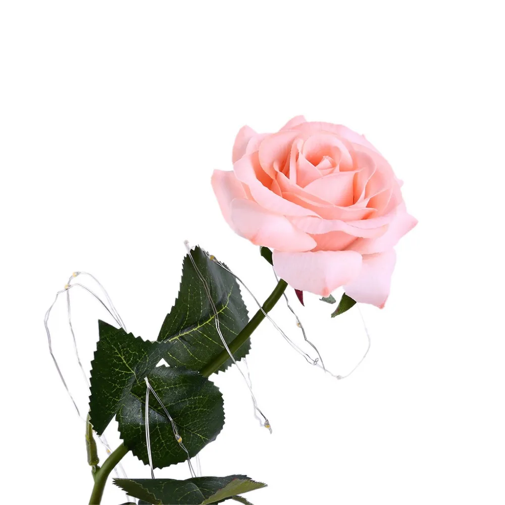 IMG_5610(20191220-181914)