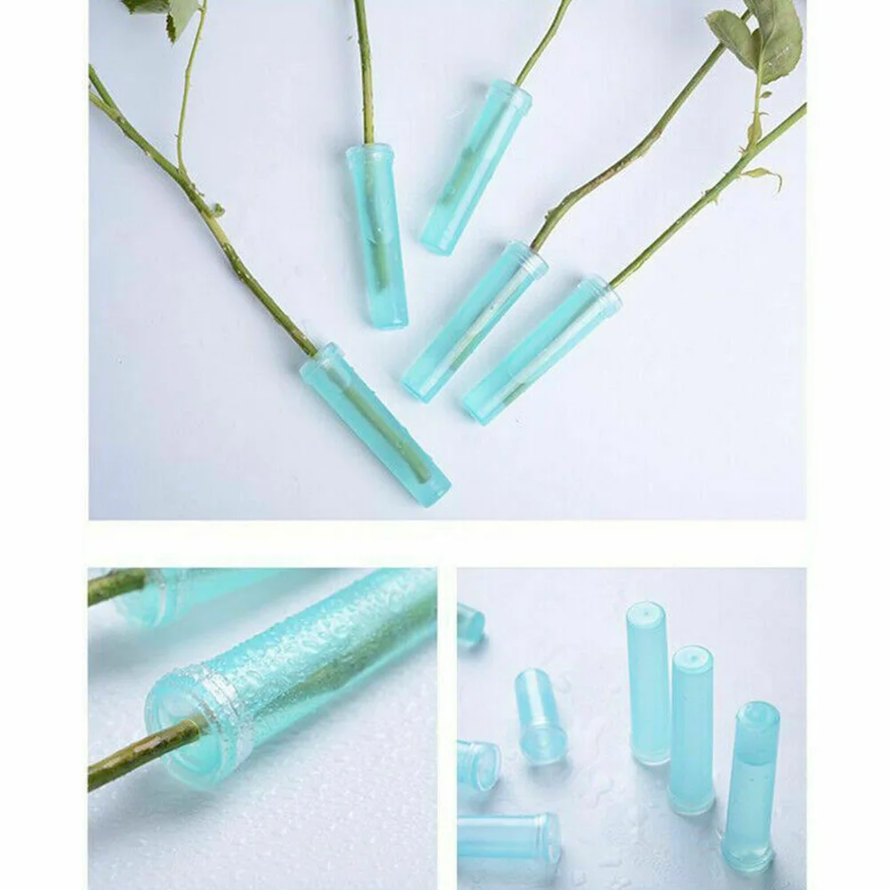 100Pcs Water Floral With Cap Shop Supplies Durable Garden Tool Hydroponic Flower Nutrition Tube Plastic Keep Fresh Container