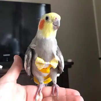 

Adjustable Portable Pet Clothes Pigeon Parrot Flying Suit Bird Diaper