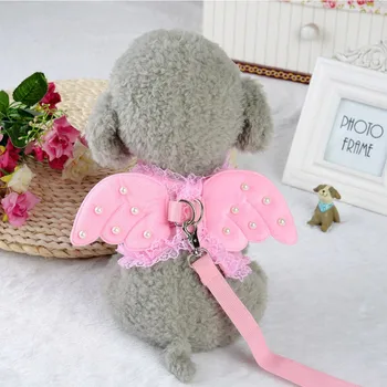 

Pet Harness Lace Leash Set Angel Wings Safety Walking Costume Vest And Durable Leash Elegant Temperament Charming And Generous