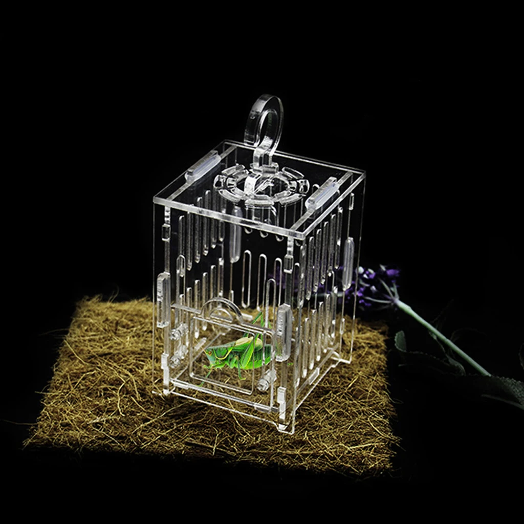 Durable Acrylic Small Insect Cage Grasshopper Feeding Cricket Indoor Toy | Дом и сад