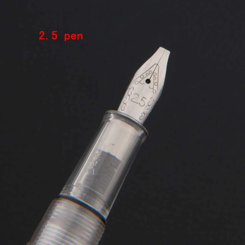 Penna Stilografica Di Lusso Con Pennino Fine E Inchiostro Nero - Ricaricabile, Design Elegante Con Convertitore E 8 Cartucce