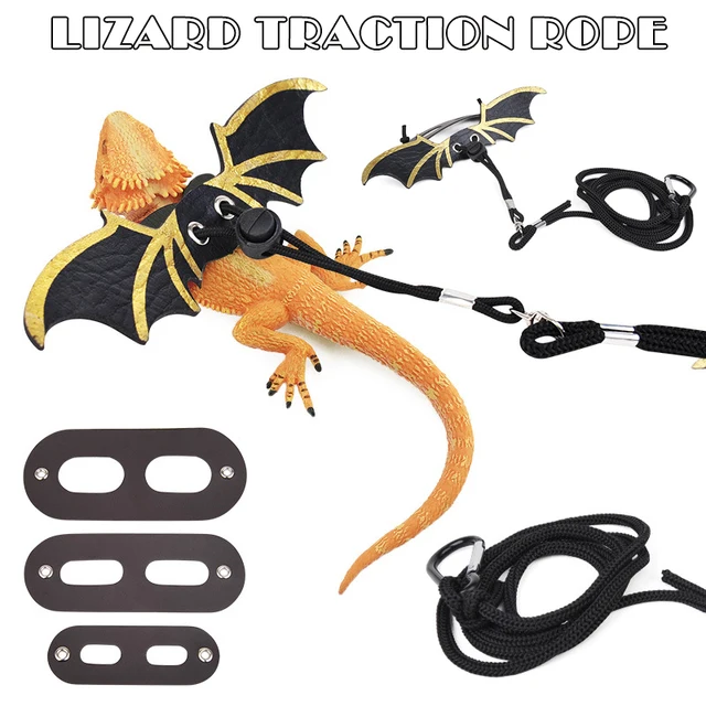 lizard leash leopard gecko