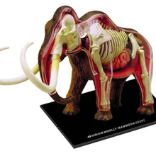 4D мастер Обучающие собранные игрушки животное Mammut орган, анатомия медицина для обучения модель
