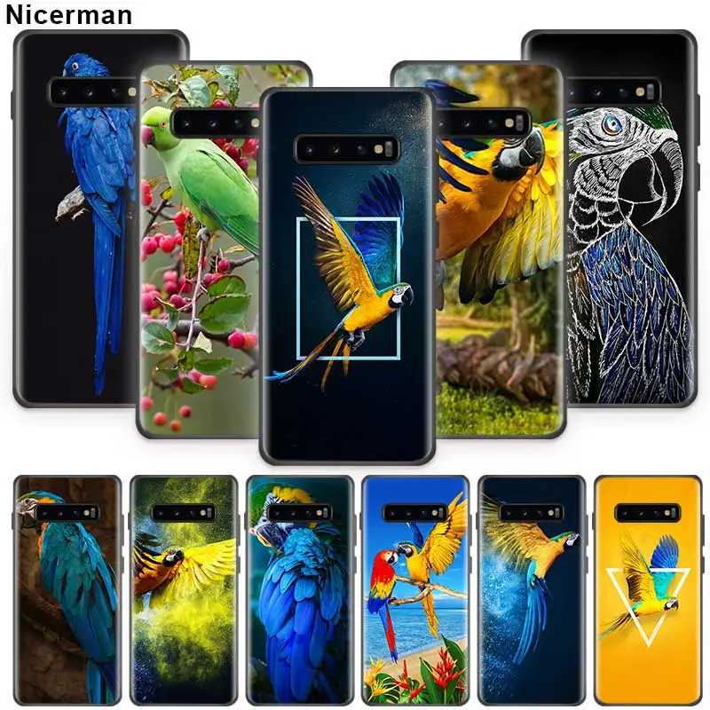 

Parrot Birds Animal Case for Samsung Galaxy S10 S8 S9 S7 Plus S10e Note 10 9 8 10Plus 5G Black Silicone Phone Coque Fall