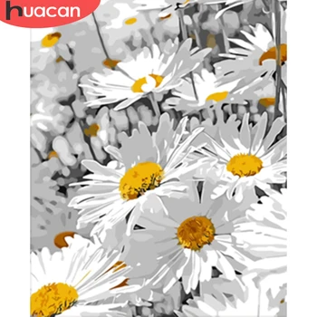 

HUACAN Paint By Numbers Flower Daisy DIY Drawing Canvas Handpainted Pictures By Number Flower Home Decoration