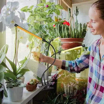 

USB Plant Growth LED Light Indoor Vegetable Flower Seedling Full Spectrum Lamp