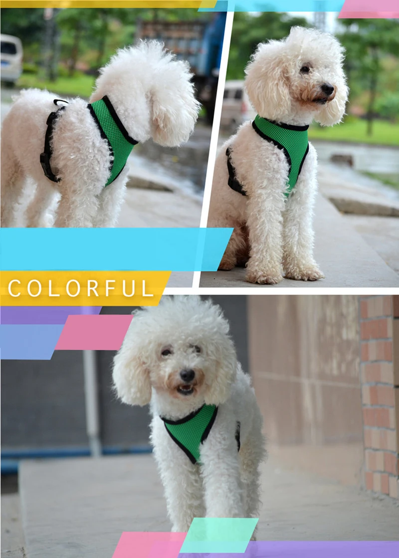 Ошейник для собак, поводок для собак, товары для животных, coleira szelki dla psa smycz collier chien correa perros, большой щенок, obroza