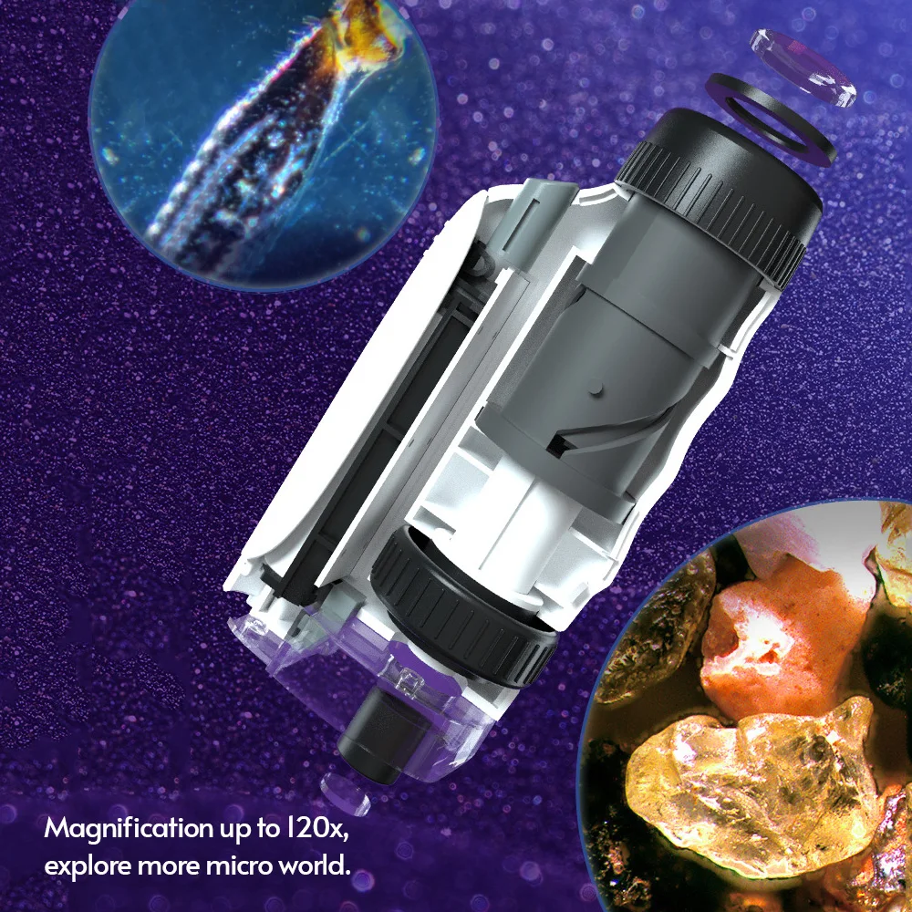 Microscope de Poche, Microscope portatif, grossissement 2 LED 60X, 1  lumière UV, Support réglable Convient à l'exploration du Monde Micro