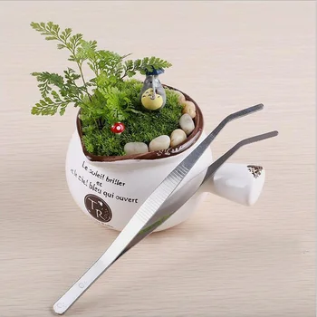 

Garden Micro Landscape DIY Tweezer Succulent Plants Pain Gardening Handwork