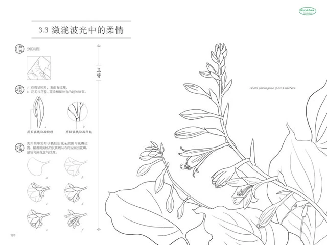 Desenho de motocicleta para colorir preto e branco para livro de colorir