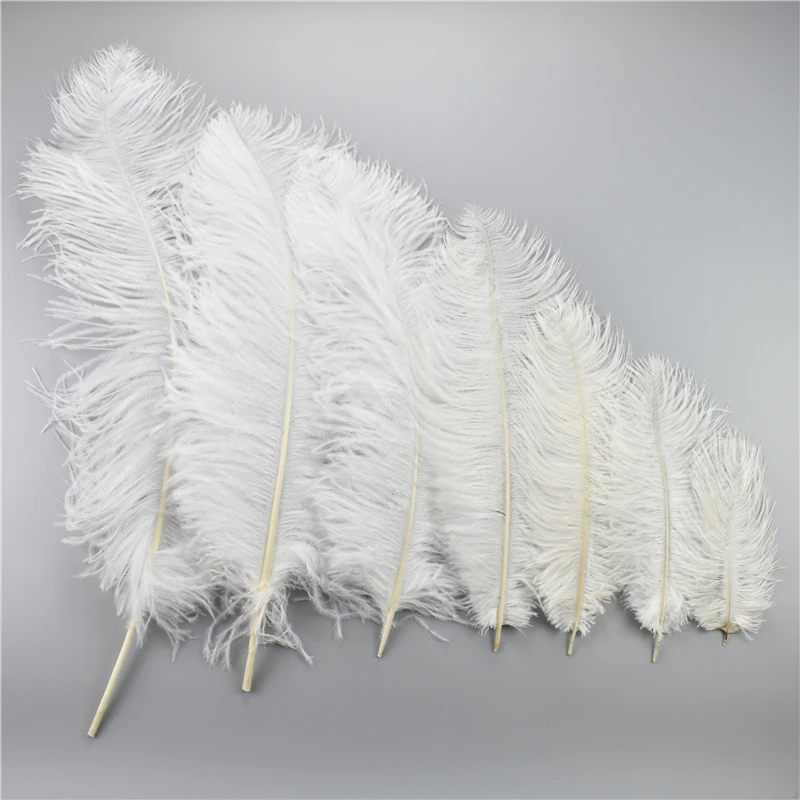 10Pcs Fluffy Ostrich Feathers Crafts White Feather for Wedding Party Home  Vase Decoration DIY Jewelry Decoration plumes 15-35CM - AliExpress