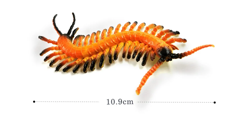 详情页-12款-SML-3个尺寸-彩色昆虫等_11