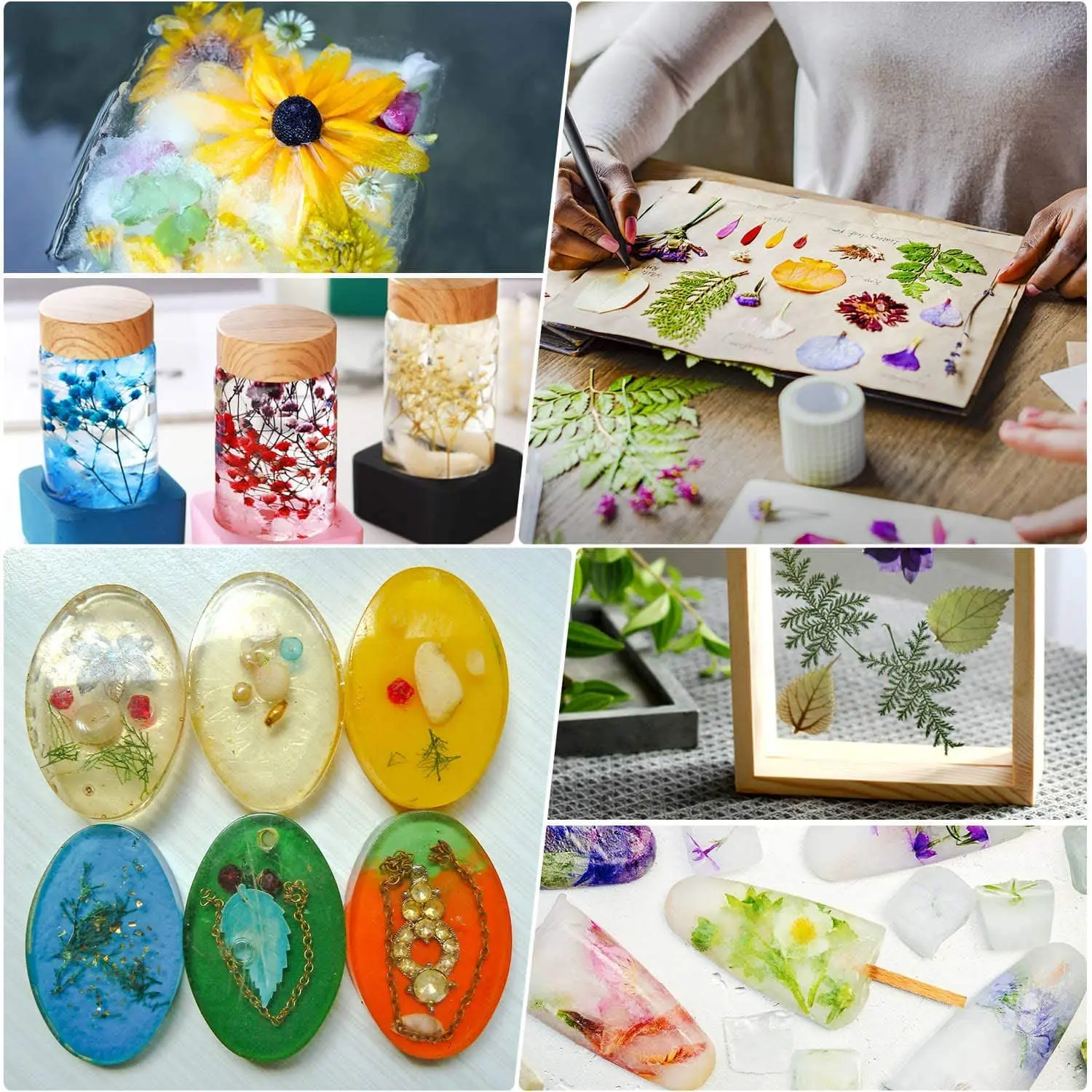 Pressed Flowers Epoxy Scrapbooking Dry Dried Flowers For Resin Real Pressed Flower For Nail Art Soap And Resin Jewelry Making Artificial Dried Flowers Aliexpress