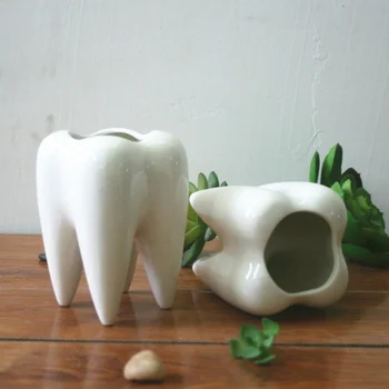 

Koreyoshi Teeth Pots White Ceramic Succulent Planter Pots/Mini Flower Plant Containers Cute Animal Shaped Cartoon Planter Pots