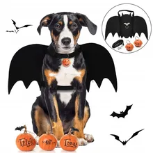 Melhores disfarce de Halloween no AliExpress para... cães