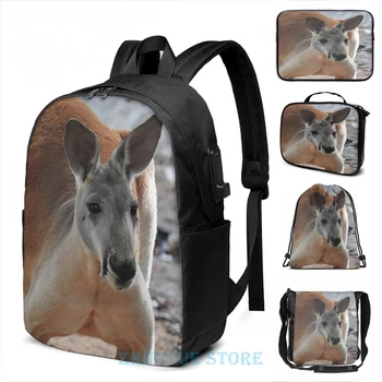

Funny Graphic print Red Kangaroo USB Charge Backpack men School bags Women bag Travel laptop bag