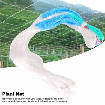 

Pea Cucumber Vine Plant Net large lattice Net Plant Crawl Garden Fence Nylon Net Plant Vegetable Growth cDimbing Frame