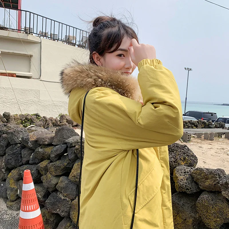 

2019 Winter New Style Korean-style Super Fire Winter Versatile Cotton-padded Clothes Cotton Coat Women's Dongdaemun Hot Selling