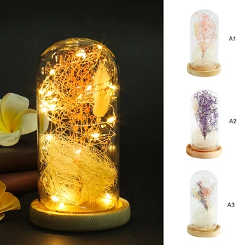 

LED String Lamp Light Remote Control USB Rechargeable Artificial Rose Flower with Glass Cover for Wedding Party Valentine's Gift
