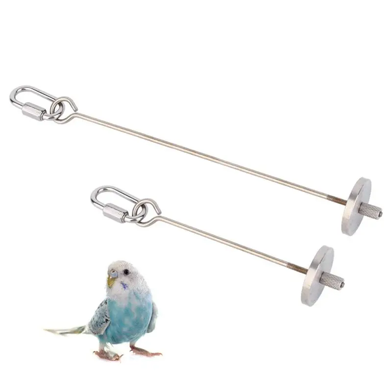 

Stainless Steel Bird Toy Pet Bird Parrot Parakeet Budgie Small Animal Skewer Fruit Spear Holder Parrot 20cm
