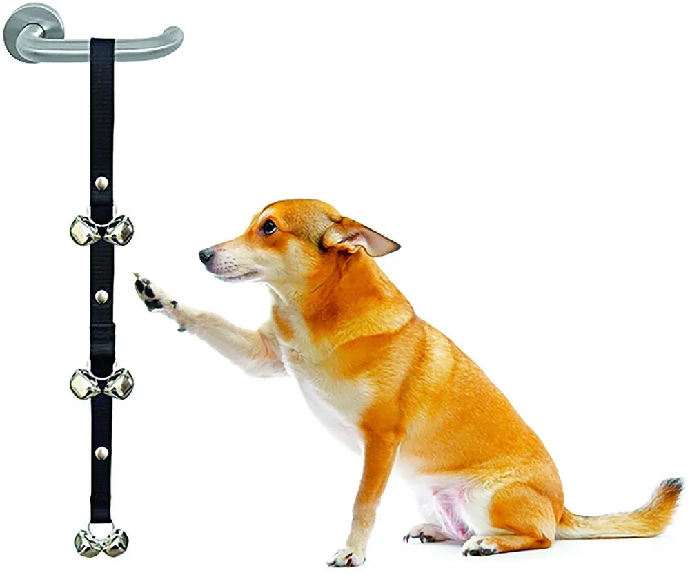 IMG_5469(20201010-164947)