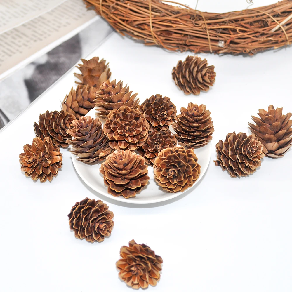 Natural pine cones (1)