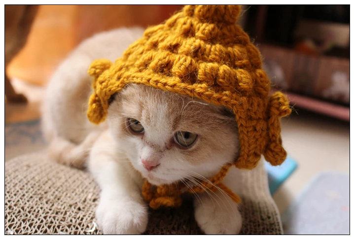 Шапка Будды, кошка, вязаная шапка, милый головной убор для домашних животных, товары для домашних животных, Забавный костюм фурри, модельная шапка для кошек, аксессуары