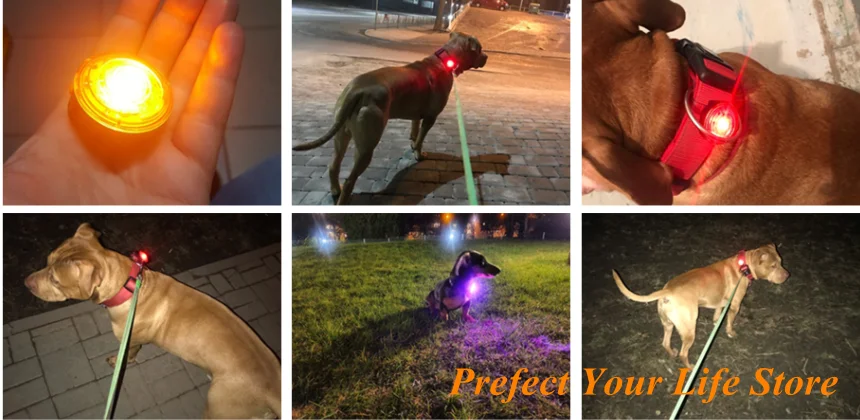 BADD61C5-9246-481d-A7C5-DF584955AF63