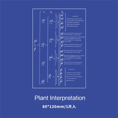 plant interpretation Креативный цветок резиновые прозрачные штампы Прозрачная силиконовая печать штампы Diy ручной работы скрапбук фотоальбом Декор товары для рукоделия - Цвет: plant interpretation