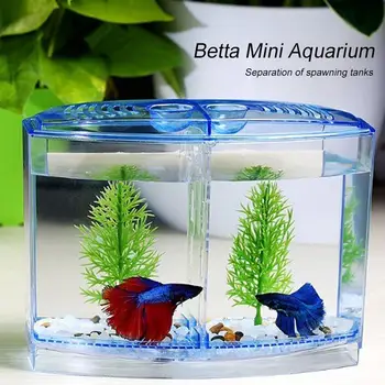 

Odorless Betta Fish Tank Aquarium DIY Ornament Partition Shrimp Fishbowl Goldfish Spawning Box