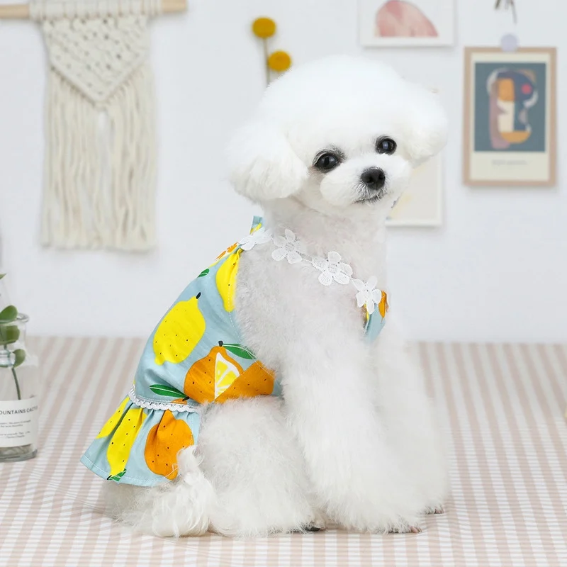 Dog Dress Skirt Summer Print Vest Pet Clothes for Small Dogs Yorkies Chihuahua Princess Dresses Puppy Clothing T-shirt