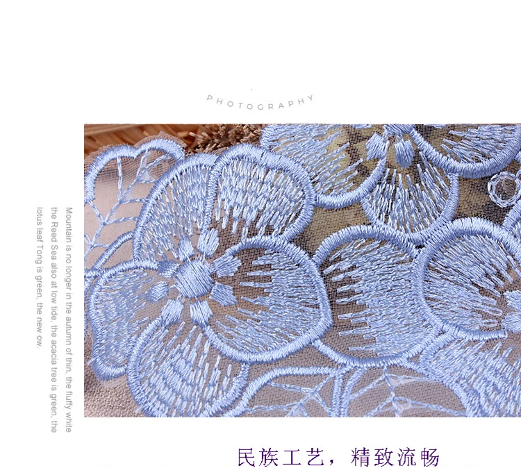 Небесно-голубые прозрачные кружевные нашивки для вышивки одежды, Пришивные железные органзы, цветок, бабочка, аппликация на одежду, наклейка в полоску